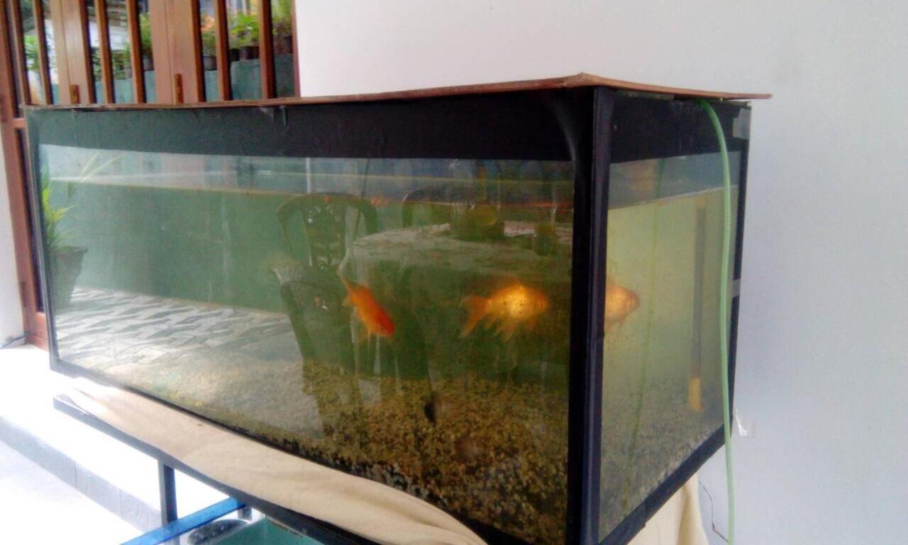 Miracle Villa Kandy Dış mekan fotoğraf